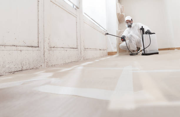 24/7 Emergency Mold Testing experts in Clarksville, TN