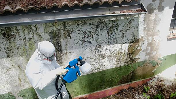 Trusted Mold Testing service in Clarksville, TN - Cheap Mold Removal